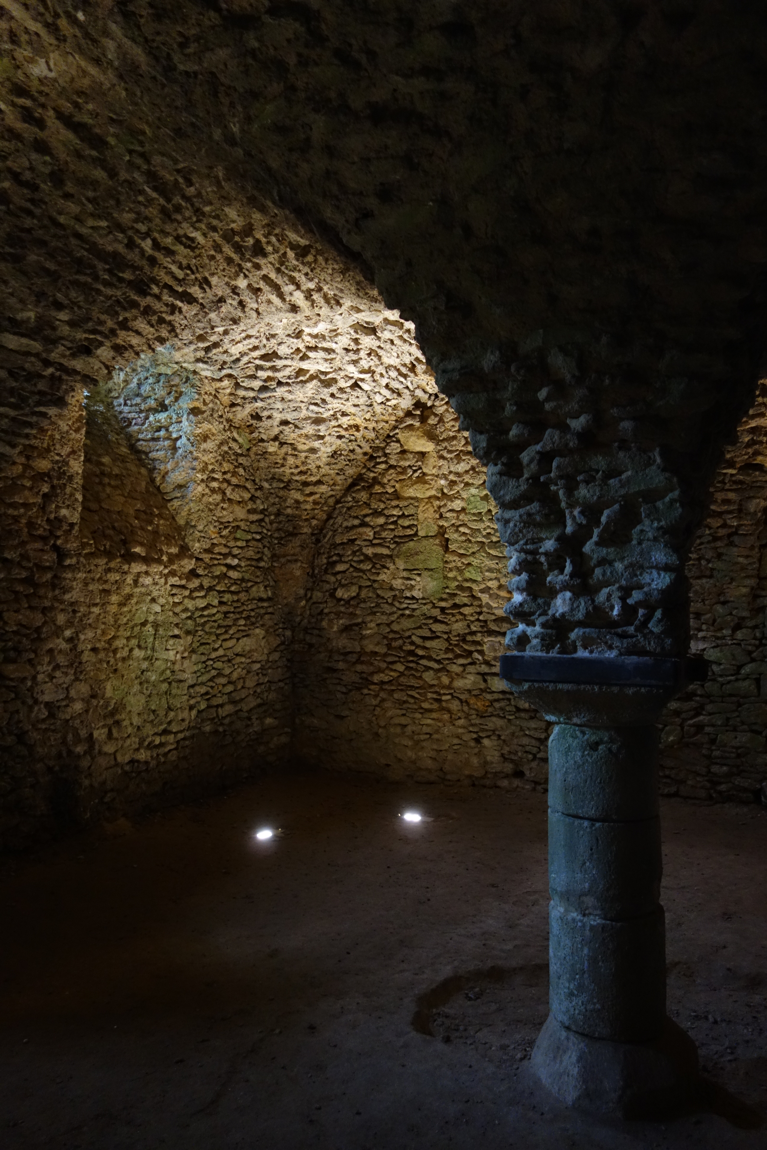Château de Blandy les Tours