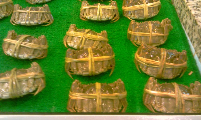 Crabes de rivière