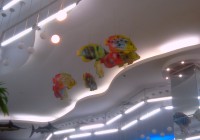 IMAG0249