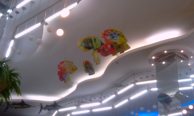 IMAG0249