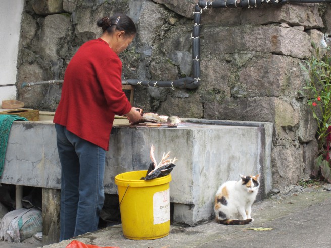 Week-end à Anji : la petite dame qui cuisine dans la rue (on en voit aussi en ville, mais nous n'avons pas de photo)