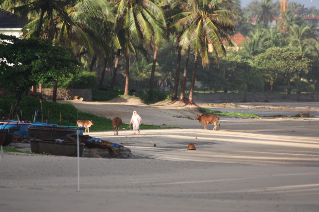 Au vietnam, sur la plage, proche de notre bungalow