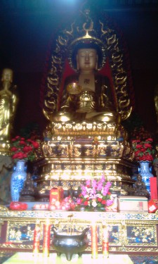IMAG0334
