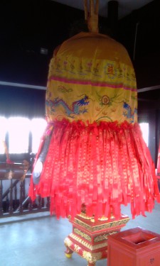 IMAG0337