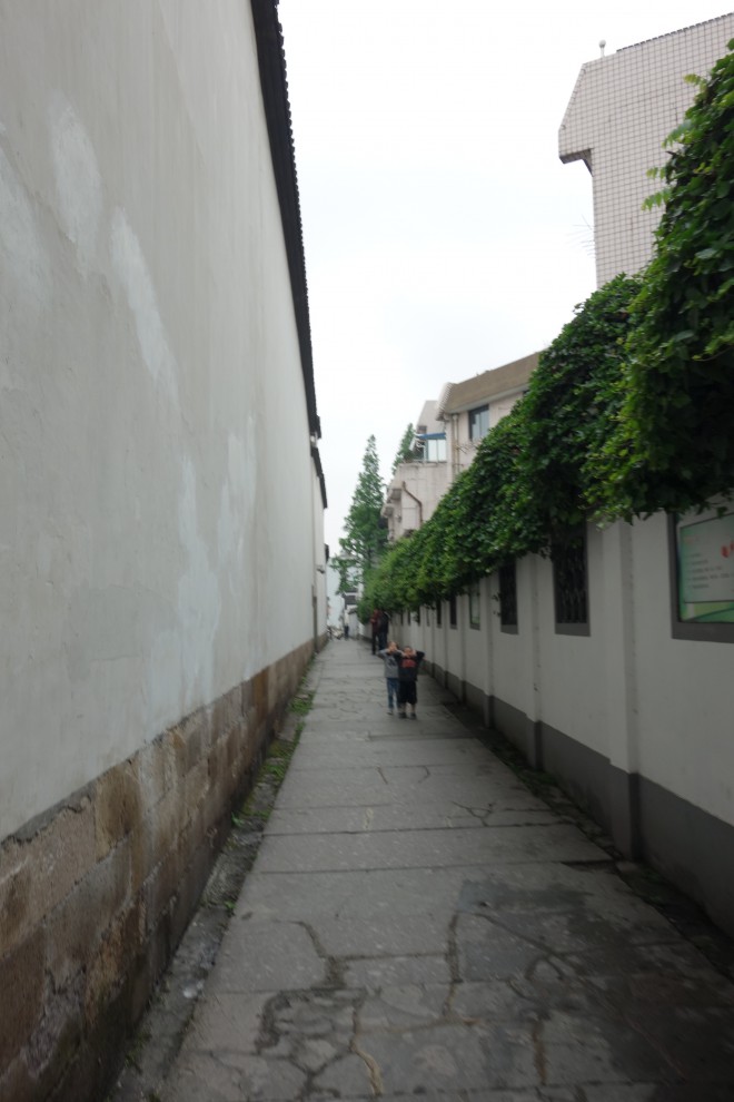 DSC01800